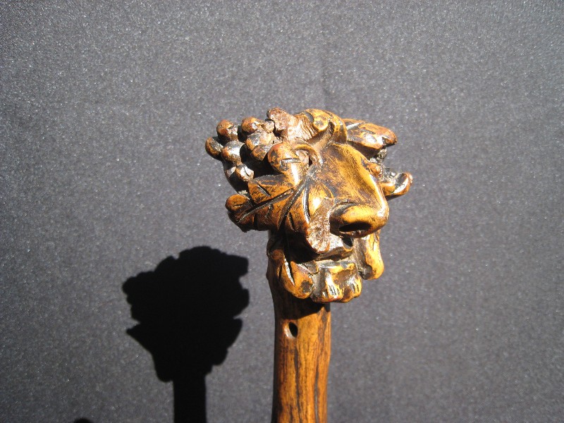Wild Bacchus vine cane. France, circa 1880
