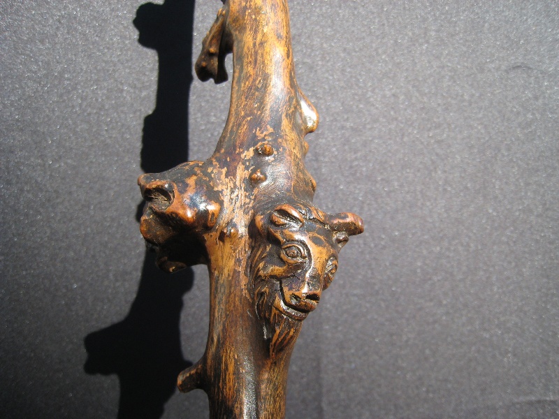 Wild Bacchus vine cane. France, circa 1880