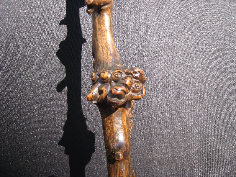 Wild Bacchus vine cane. France, circa 1880
