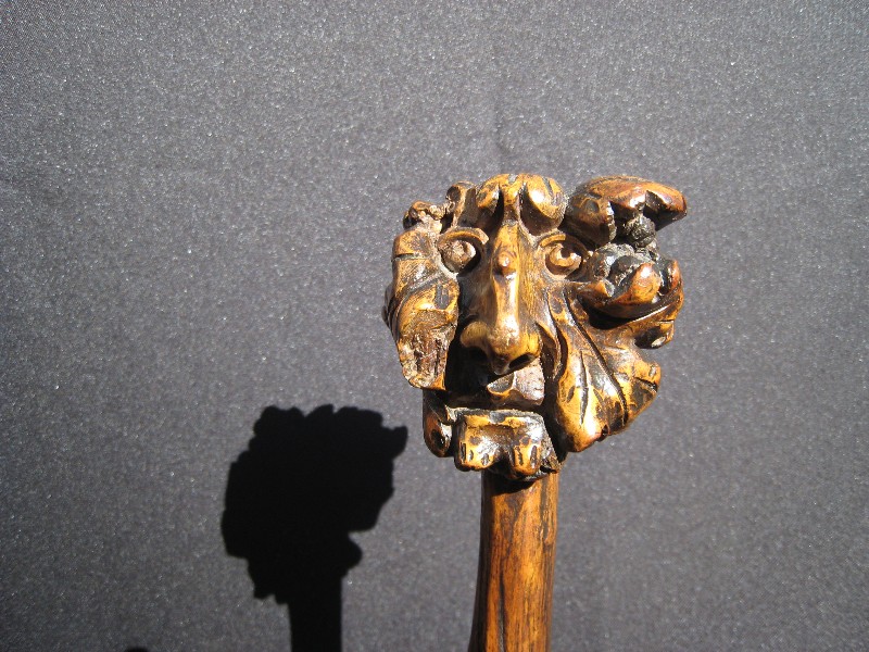 Wild Bacchus vine cane. France, circa 1880