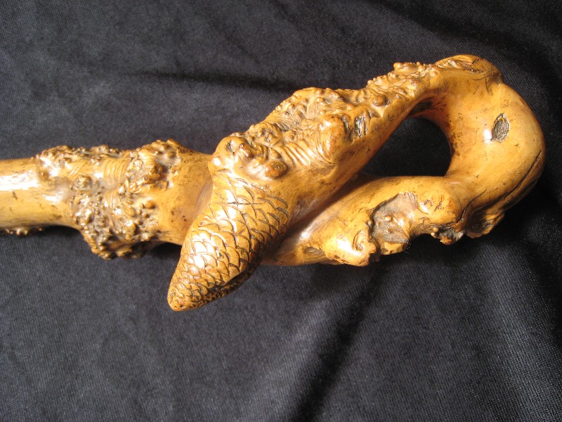Early lizard, boxwood cane. France, circa 1850   