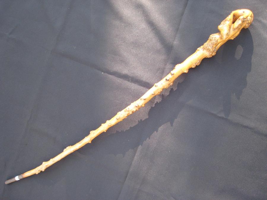Early lizard, boxwood cane. France, circa 1850   