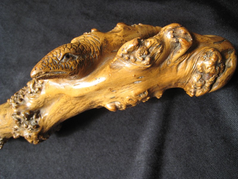 Early lizard, boxwood cane. France, circa 1850   