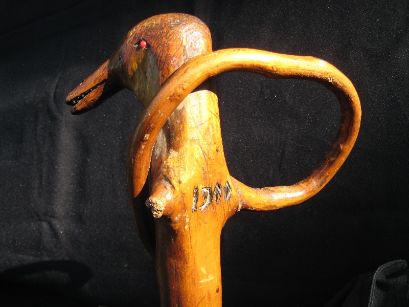 Branches duck cane. France, 1900.  