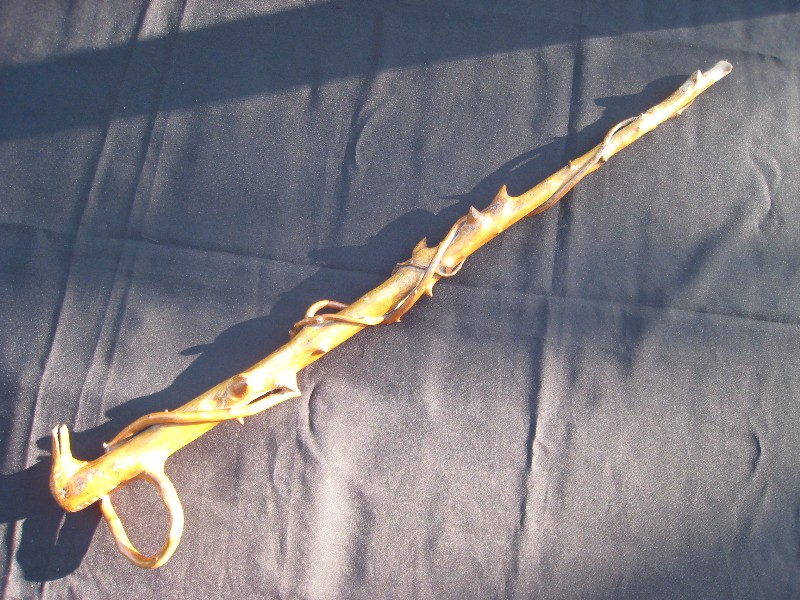 Branches duck cane. France, 1900.  