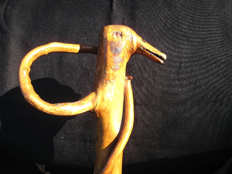 Branches duck cane. France, 1900.  