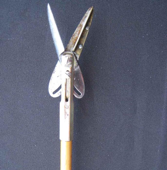 Botanist’s system cane. France, circa 1870